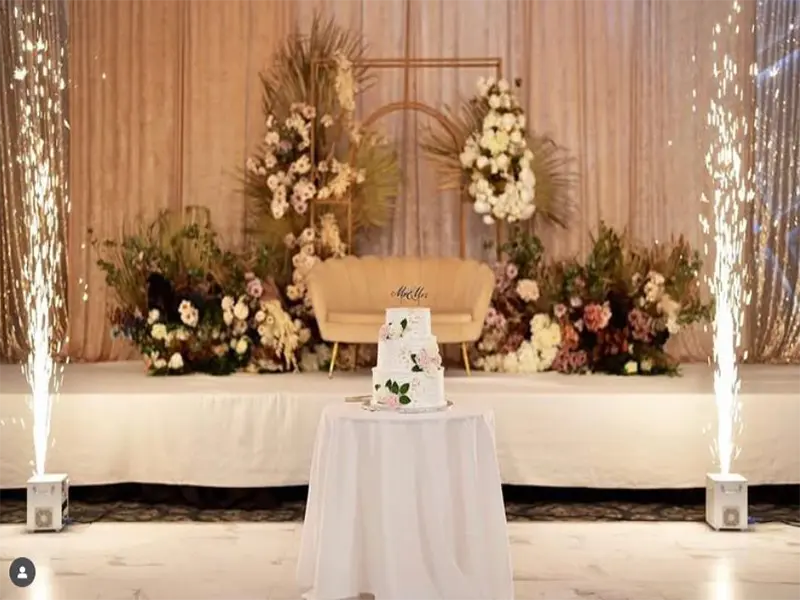 Fresh spring vegetables